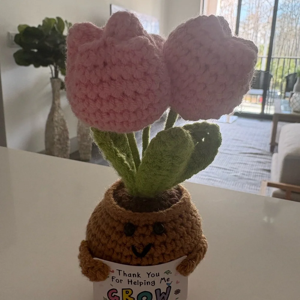 Charming Pink Crochet Flower Pot with Green Leaves “Thank you for helpingme grow